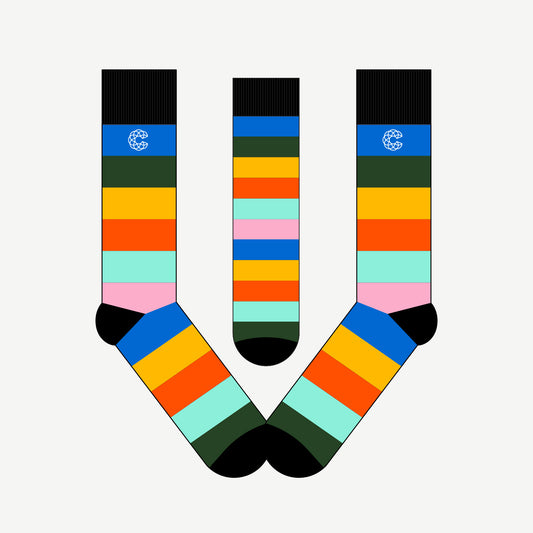 Multi-Colored Thin Striped Socks (US)